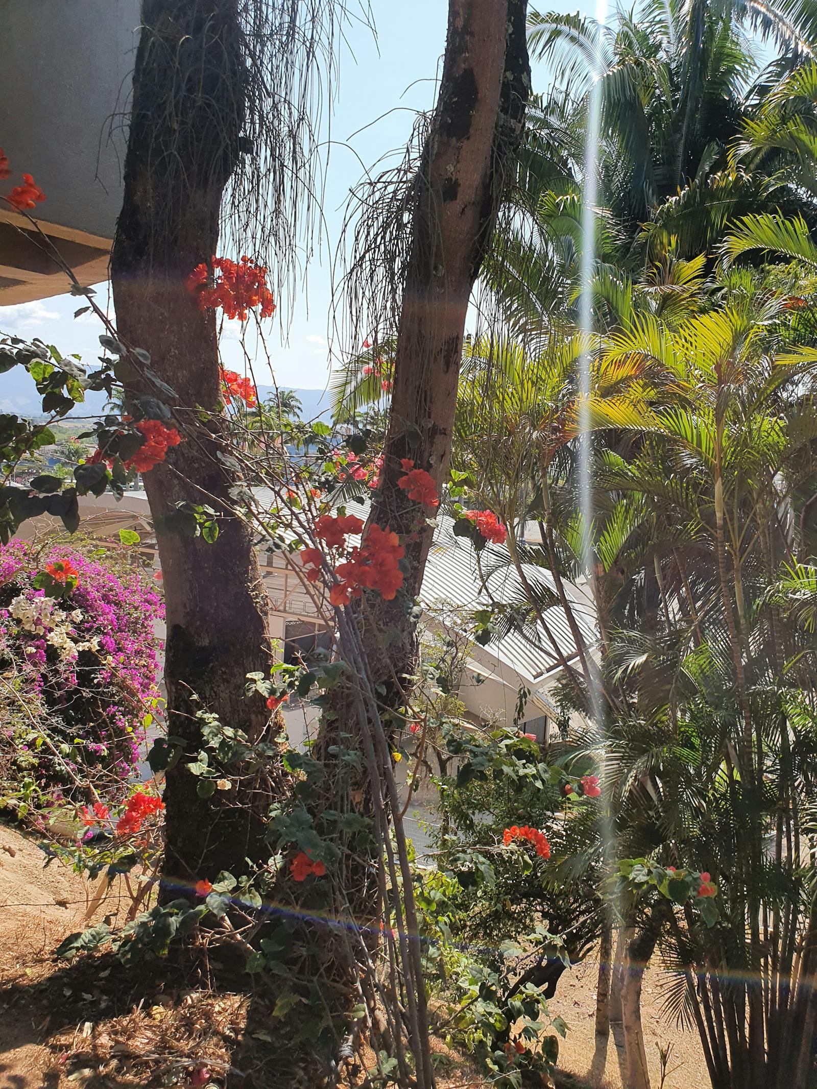 Werkstatt mit Hebebühne und Fahrzeug während der Instandsetzung